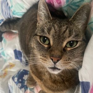 Meet your Posher, Posh